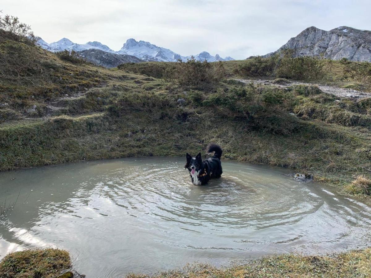 El Portiellu Daire Cabielles Dış mekan fotoğraf